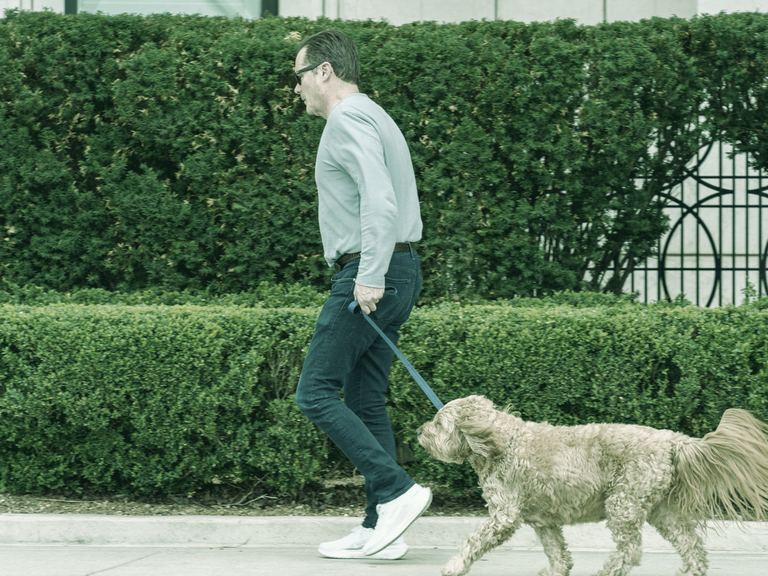 A smiling man in a gray t-shirt walking his golden retriever on a leafy neighborhood sidewalk